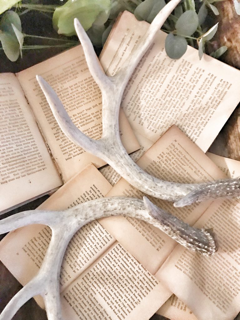 close up of vintage books with antlers